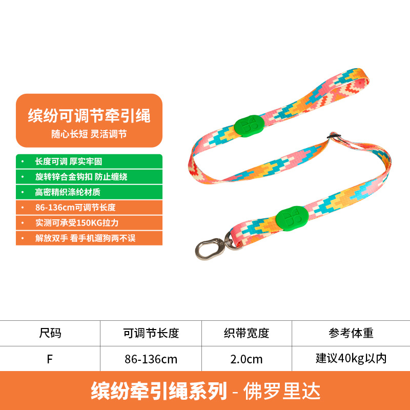 Florida-correa ajustable Correa simple