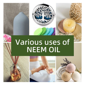 Toptan toplu saf soğuk preslenmiş organik Neem tohum yağı için cilt bakımı Neem yağı tarım için - Product Image 5