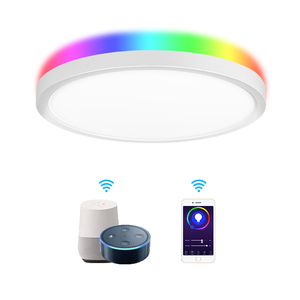 100-240Vac 24W yüzey montaj WIFI akıllı 4W RGB WIFI akıllı LED tavan ışık Tuya Google yardımcısı ile çalışmak - Product Image 1