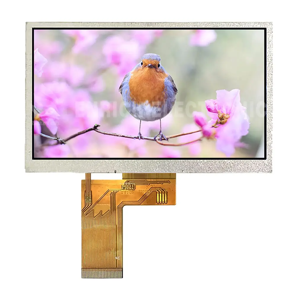 Enrich LCD Manufacturers 5 Inch TFT LCD Module 800x480 High Resolution All Viewing Angle TFT LCD