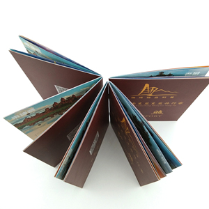 定制金箔冲压培训编程护照书口袋迷你小册子认证印刷 - Product Image 4