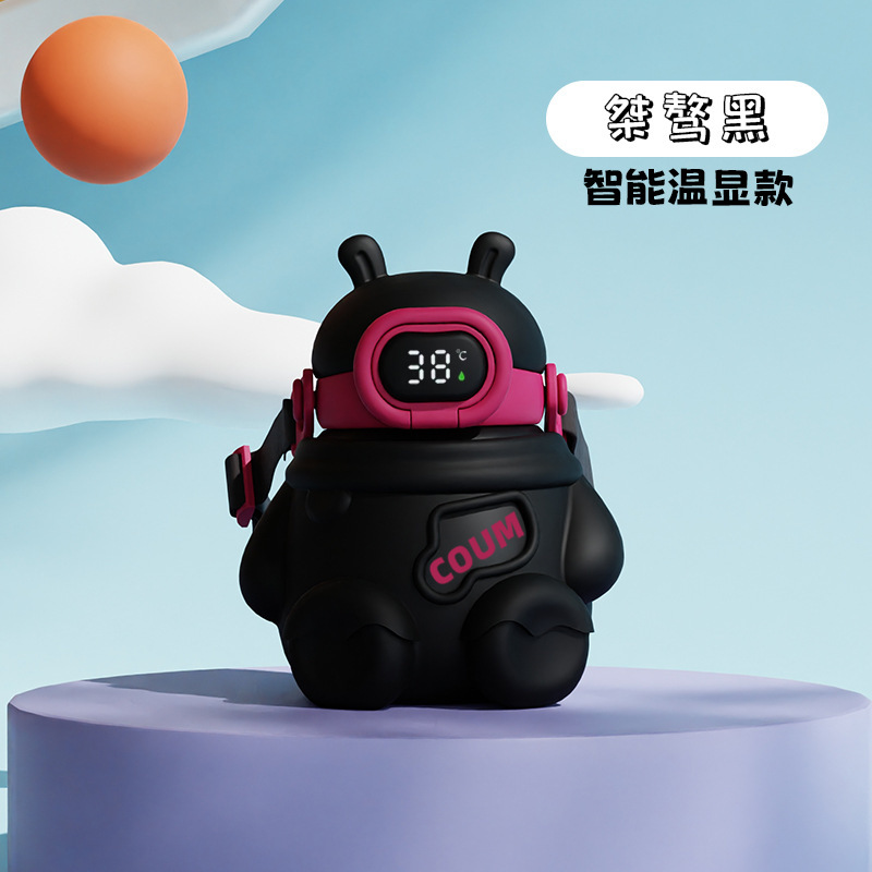 Intelligent Temperature Display - Black