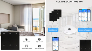 WIFI Smart Home and Building Automation sistemi di controllo integrati sistema di controllo dell'automazione domestica completo funziona con Alexa Google