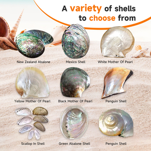 XE-024 Luster <strong>Paua</strong> Abalone Shell Paper Strip Seashell Sheet Veneer Laminated <strong>Inlay</strong> Home Decoration - Product Image 4