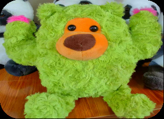 Cactus bear