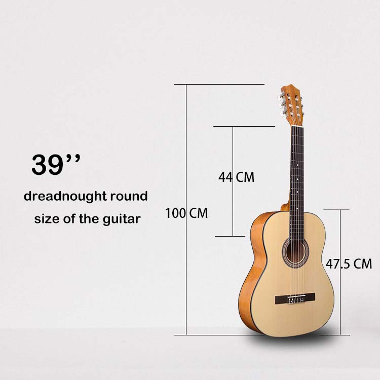 Sapele + Spruce