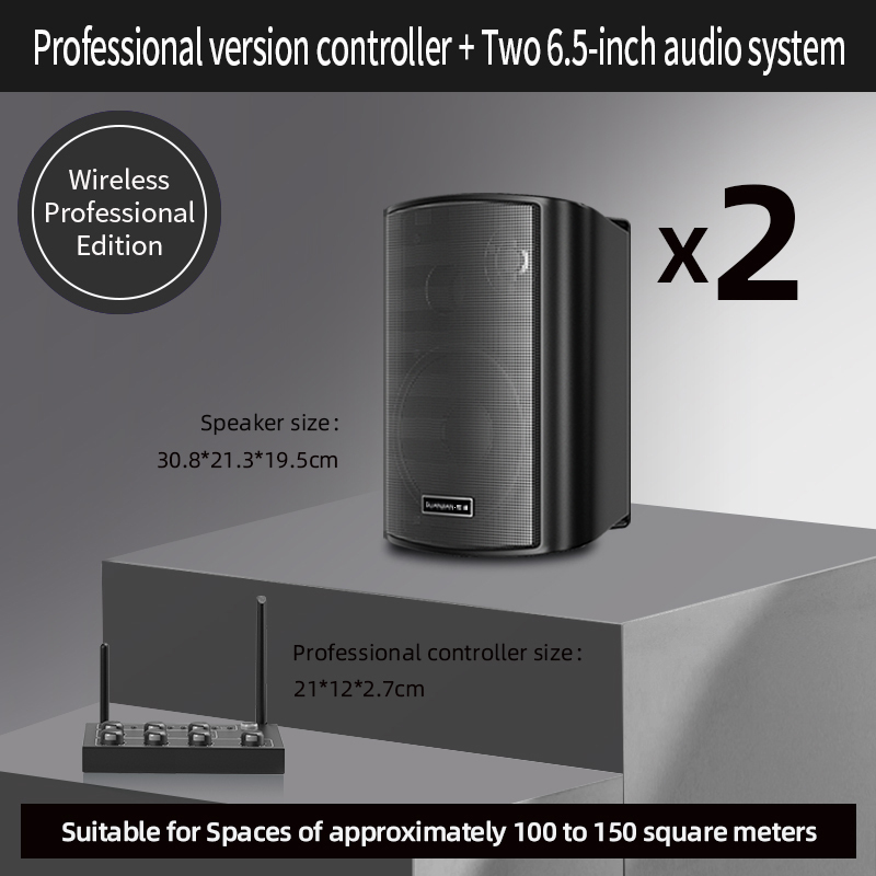 1 Controller & 2 Black Speakers