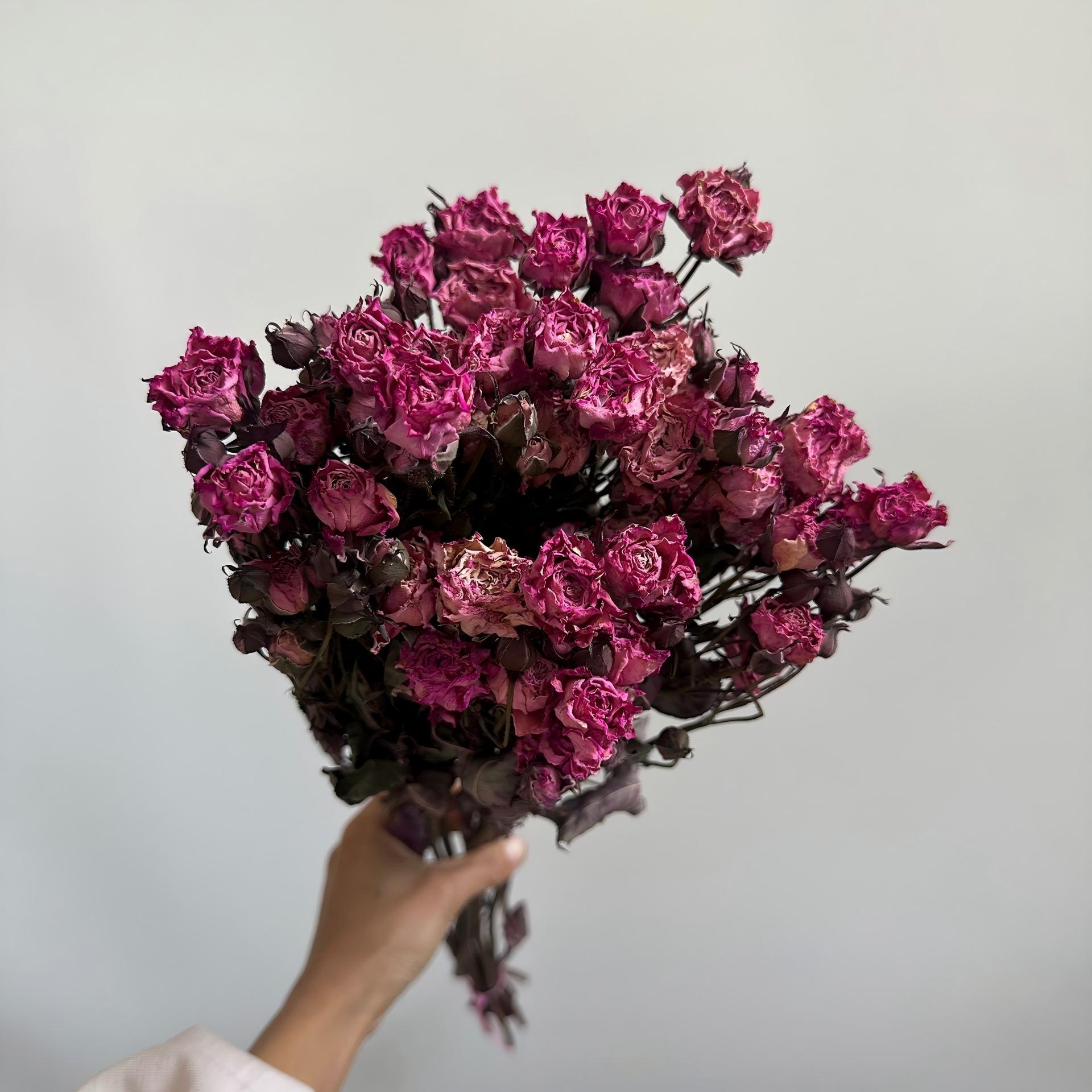 Rose rouge