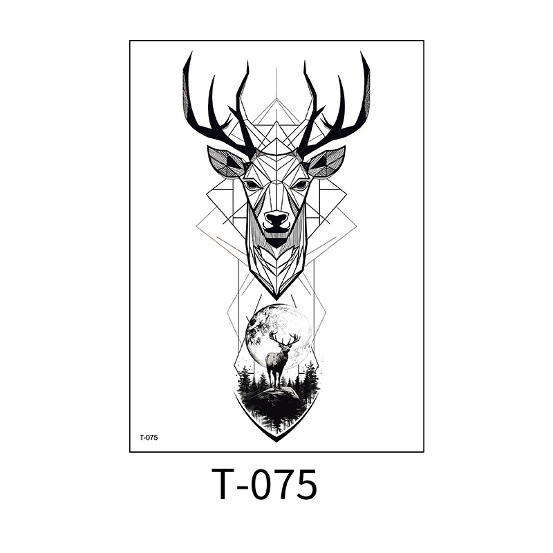 T-075