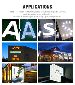 IP65 Outdoor 1.2W 2LED <strong>Module</strong> Light for Advertising 2700K 6500K 12V <strong>DC</strong> for Street Signs and Billboard Light Boxes