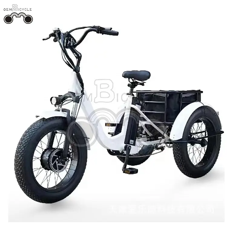 20 Inch Triciclo Electric Trike 750W Motor Fat Tire 3 Wheel E Bike Tricycle Three Wheels Adult Cargo Electric Bike With Basket