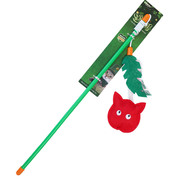 Chat rouge à plumes