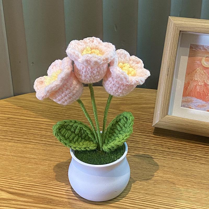 3 potted calla lilies in skin tone
