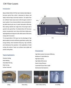 激光切割和焊接用激光发生器光纤激光电源Raycus源3000w - Product Image 4