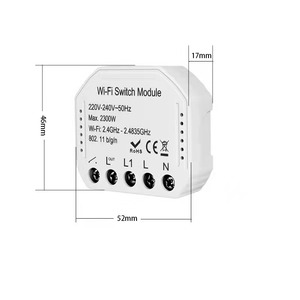 Prezzo all'ingrosso Amazon Alexa/google Assistance Tuya Smart 1 canale wi-fi Switch Module Pst-qs-s03 - Product Image 3