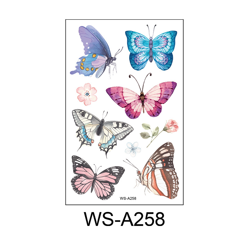 WS-A258