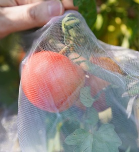 HDPEの反昆虫ネット、アブラムシの証拠ネット、温室のための昆虫の証拠ネット - Product Image 2