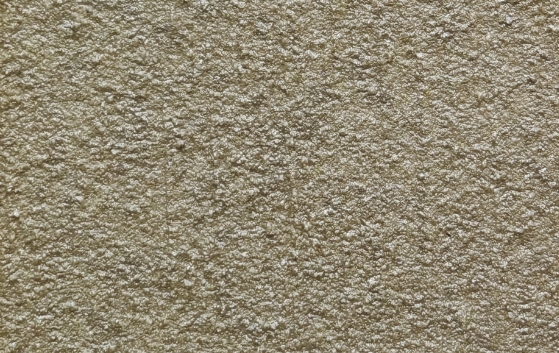 DM-8100