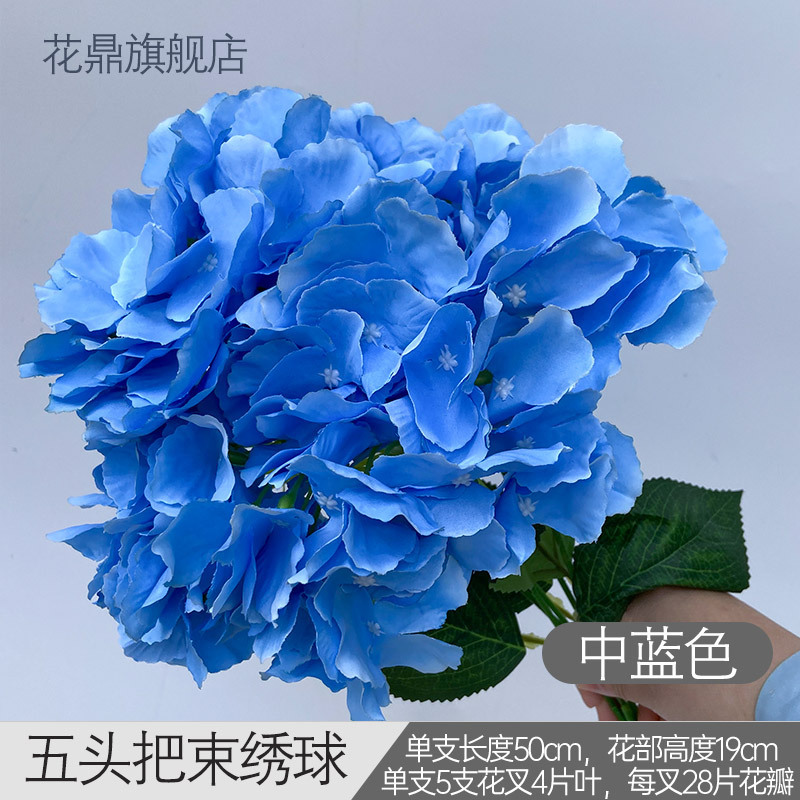Hortensia à cinq têtes H bleu moyen