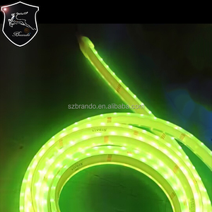 Factory Supplier <strong>RGB</strong> <strong>LED</strong> Flexible &amp; Cuttable Strip Light 24V Waterproof for Swimming Pool - Product Image 3