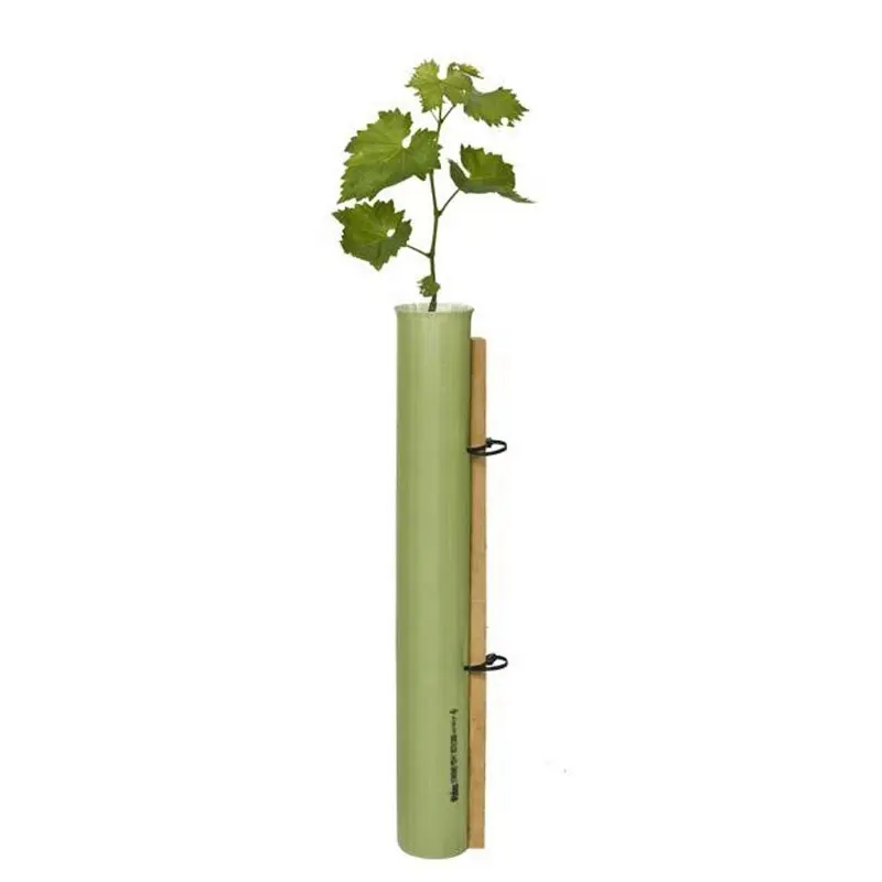 סטנדרטי גפן Corflute עץ משמר צמח מגן, צמחים הגנה מפני אור אולטרה סגול סין יצרן