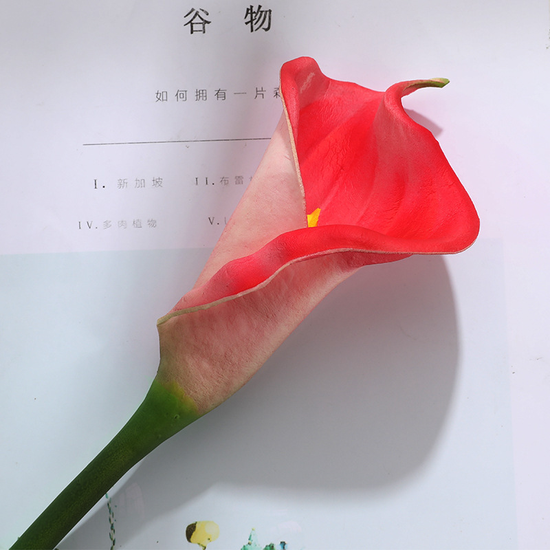 Rouge rose