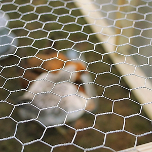 Valla para granjas avícolas, red de alambre de pollo hexagonal, malla de alambre de hierro de pollo hexagonal, malla hexagonal para jaula de conejos - Product Image 6