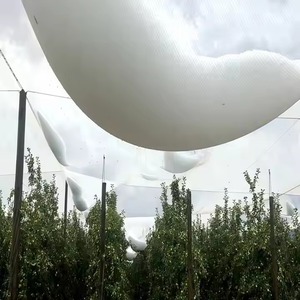 Çin üretici 100% bakire Hdpe Uv dayanıklı tarım elma meyve bahçeleri Anti Hail fırtına koruma ağı için elma ağacı üzüm - Product Image 6