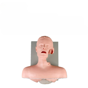 Advanced Intubation Alarmed <strong>Human</strong> Patient Simulators Training Manikins - Product Image 6