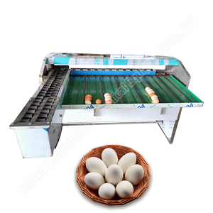 เครื่องคัดแยกไข่ไก่เครื่องคัดแยกไข่ - Product Image 5