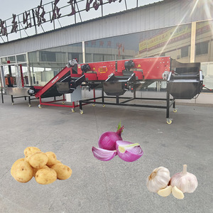Vendita calda datteri frutta gradatore di cipolle e smistatore di dimensioni mela noce pepe nero macchina per la classificazione di frutta e verdura - Product Image 4