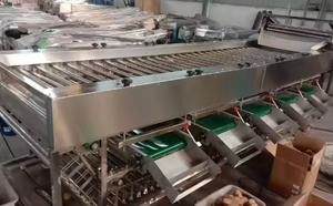 Lemon Mango Size <strong>Classifier</strong> Machine Fruit Weight Grader Citrus Sorting Grading Machine - Product Image 5