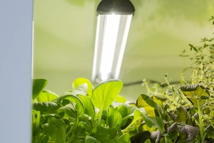 悬浮盆景花盆磁性旋转花盆家用办公漂浮多肉植物金属竹炭制成