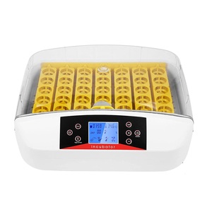 Hhdミニ自動インキュベーター卵農業ウズラ2024新しいイノベーションコントローラー電気 - Product Image 2
