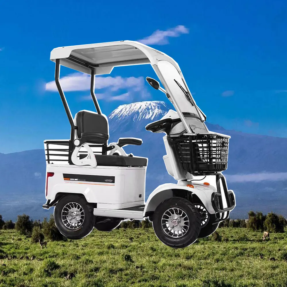 Carrello da Golf e Scooter a doppio scopo prezzo competitivo con batteria al litio 60V 35ah vendita calda elettrico golf carretti elettrici