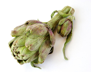 Extrato de ervas para pó, haste de folha, benefícios de extrato de fibra alimentar, <span class=keywords><strong>inulin</strong></span> jerusalém, extrato de choque - Product Image 2