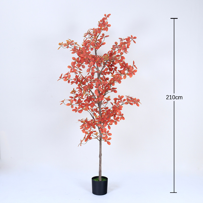 Autumn Colors of the Paulownia Tree - 210cm