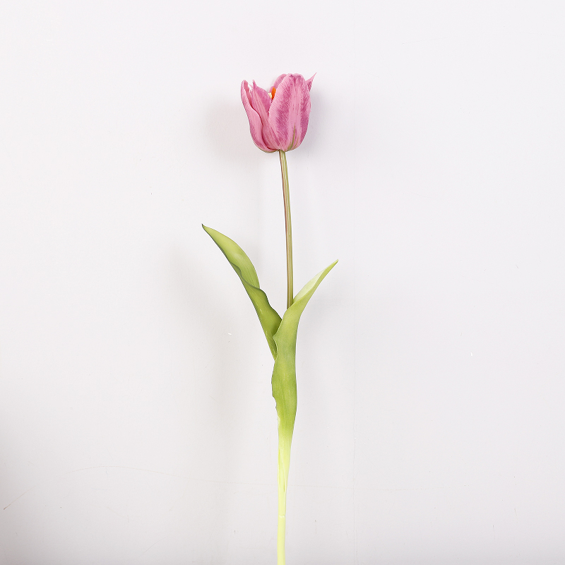 Tête unique - Violet