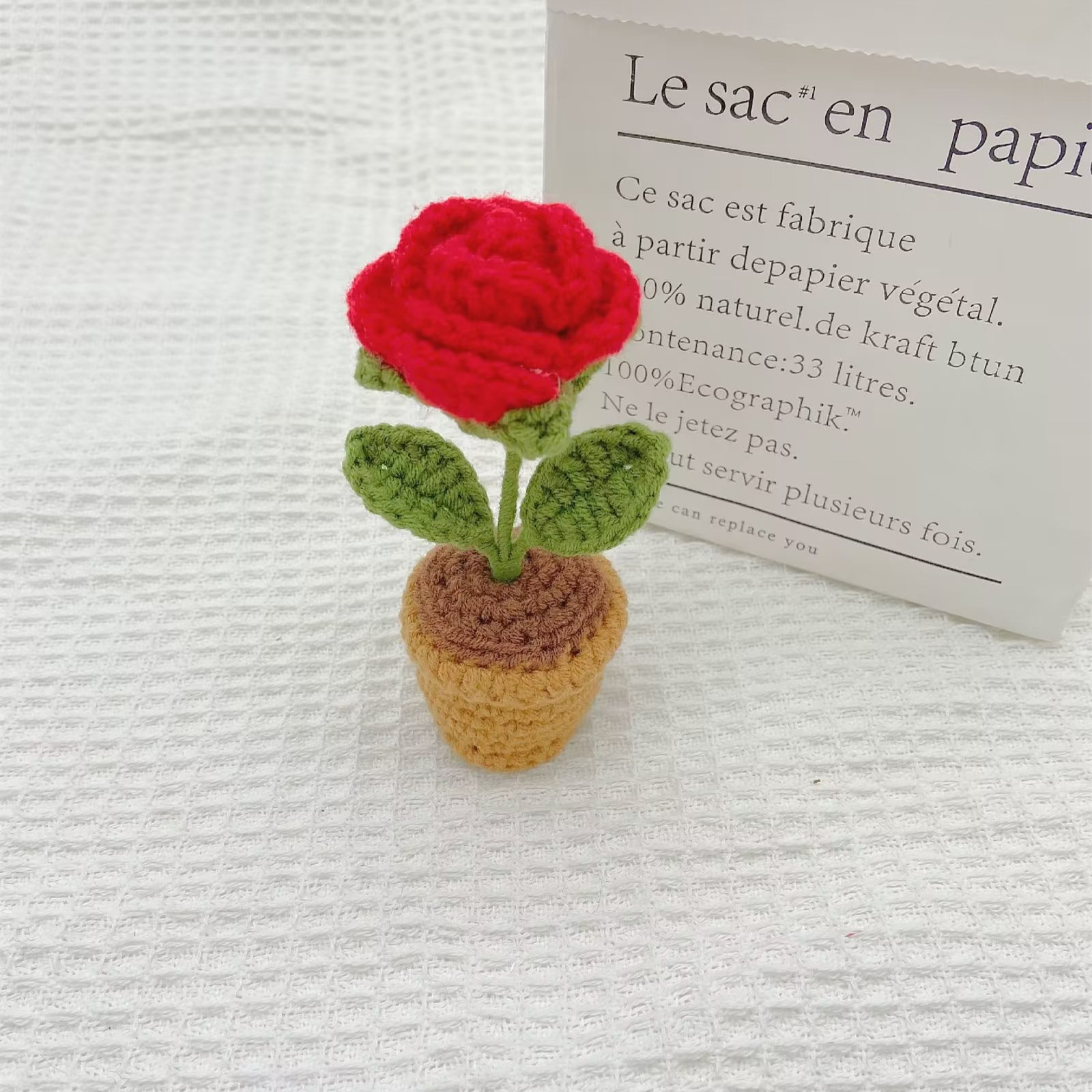 Plante de rose rouge en pot finie