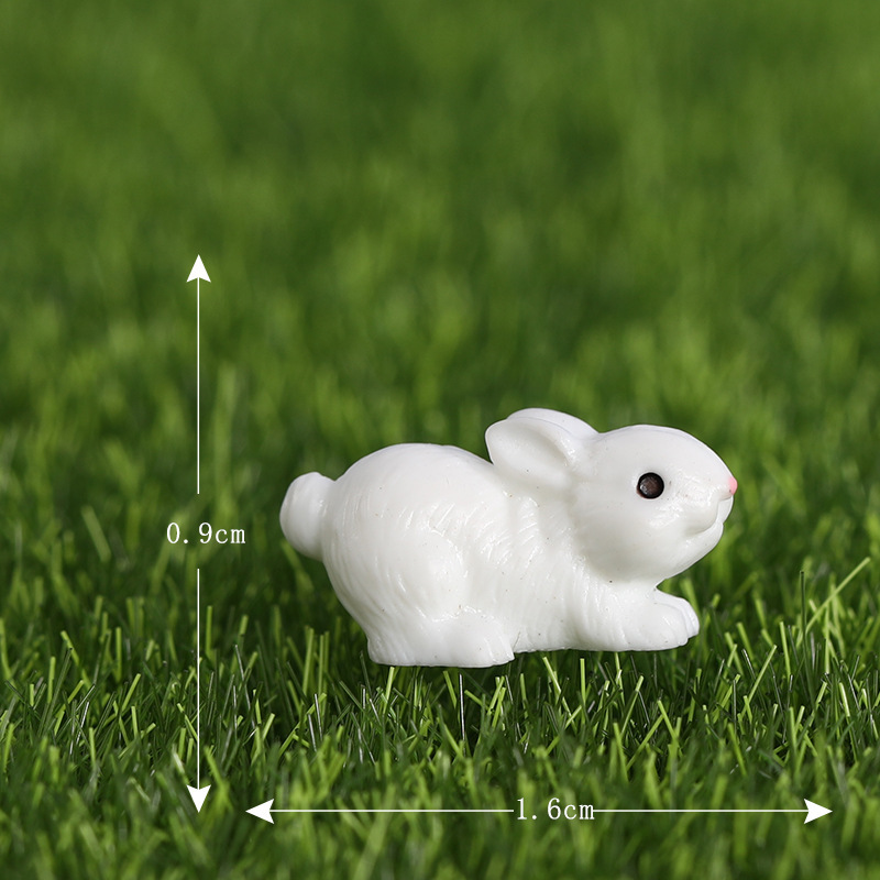 7#Rabbit