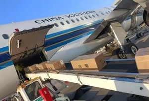 大連からVVOへの航空貨物ロジスティクスソリューション | 専門的な通関手続き | リアルタイム追跡 | 効率的かつ安全 - Product Image 2