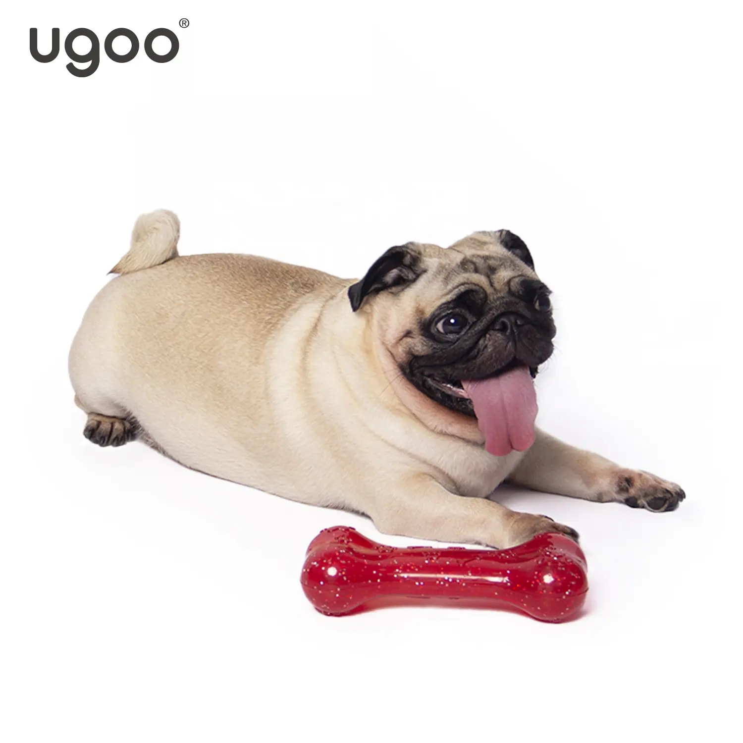 Terbaru Diskon Besar Mainan Tulang Kunyah Anjing Padat Tahan Lama Warna-warni TPR + Squeaker Mainan Kunyah Hewan Peliharaan