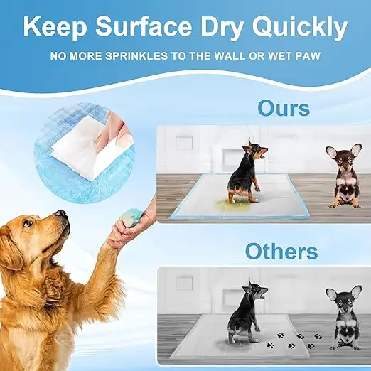 Pet Urine Absorbent Pads for Toilet Training and Animal Care