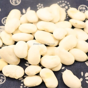 中国大型长型白芸豆干