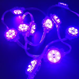 Top quality colore variabile led pixel 12v punto luce con IC 1903 programmazione WS2801 RGB modulo led pixel