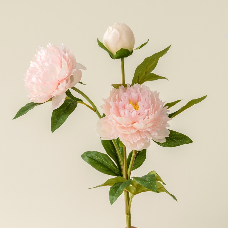 Rose foncé