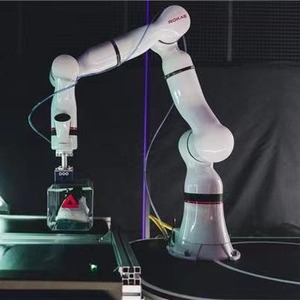 ROKAEコラボレーティブインダストリアルロボット6軸アームパレット化ロボット複合ロボット - Product Image 2