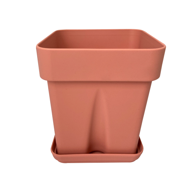 Square#6