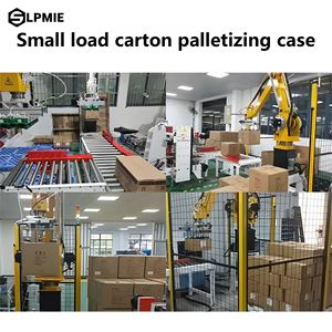 LPMIE Stacking Cement Grain Bags 30kg25kg <strong>Robot</strong> Robotic Gripper for Palletizing Line <strong>System</strong> Stacker Palletizer Machine Automatic - Product Image 4