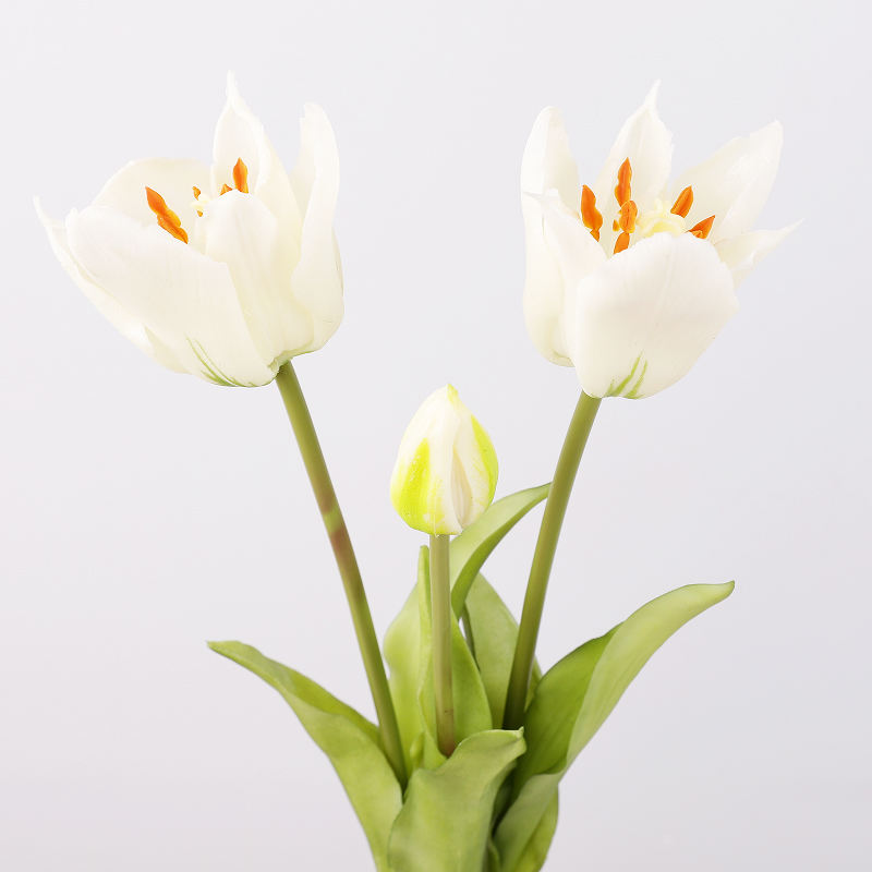 Bouquet de 3 têtes-blanc